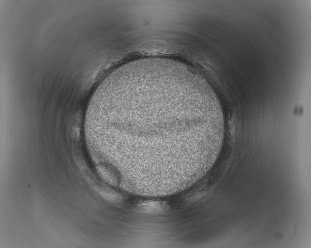 X0000112360499200909101300