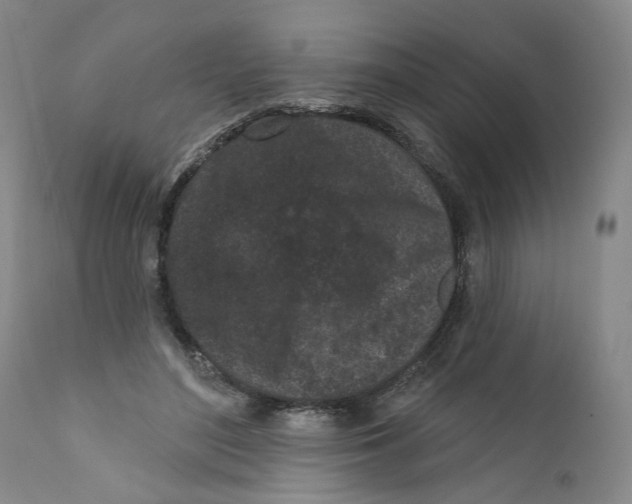 X0000112360500200909101300
