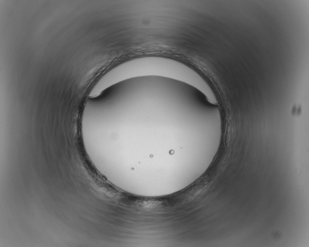 X0000112360501200909101300
