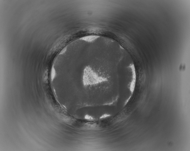 X0000112360502200909101300