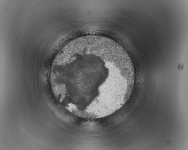 X0000112360503200909101300