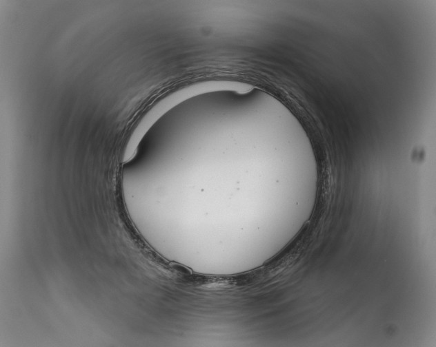 X0000112360505200909101300