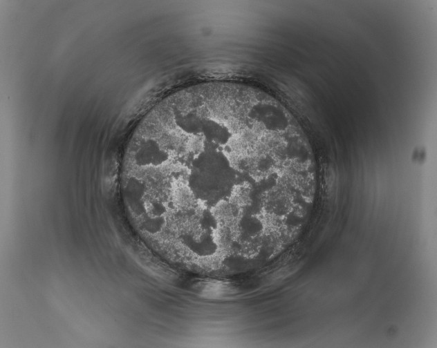 X0000112360507200909101300