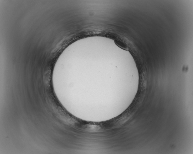X0000112360509200909101300