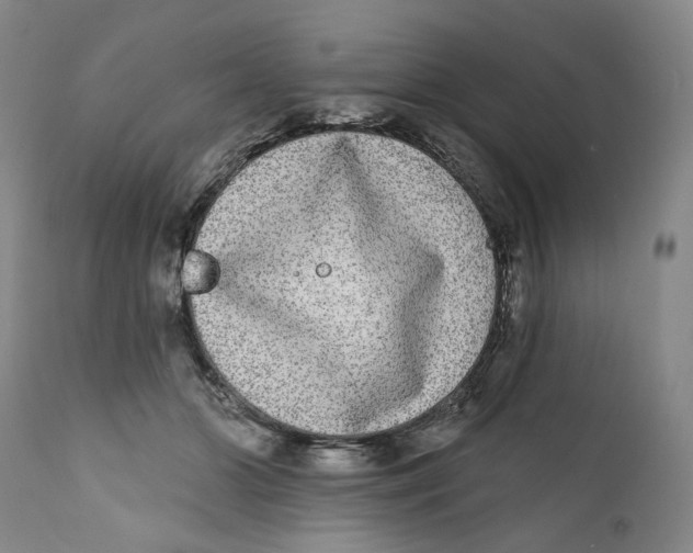 X0000112360510200909101300