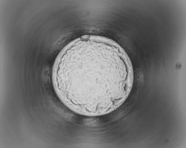 X0000112360511200909101300