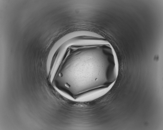 X0000112360512200909101300