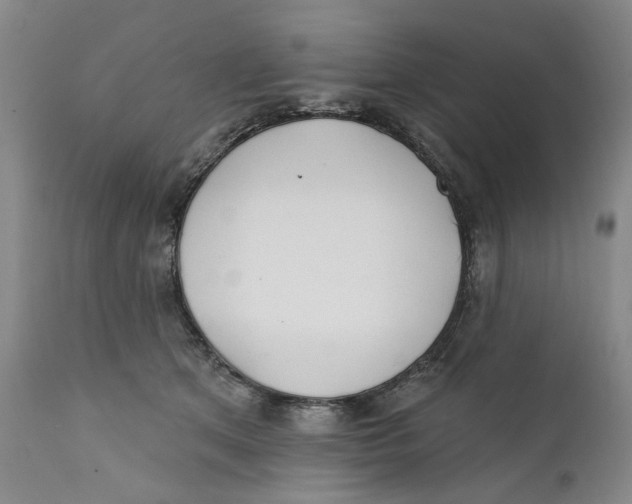 X0000112360513200909101300