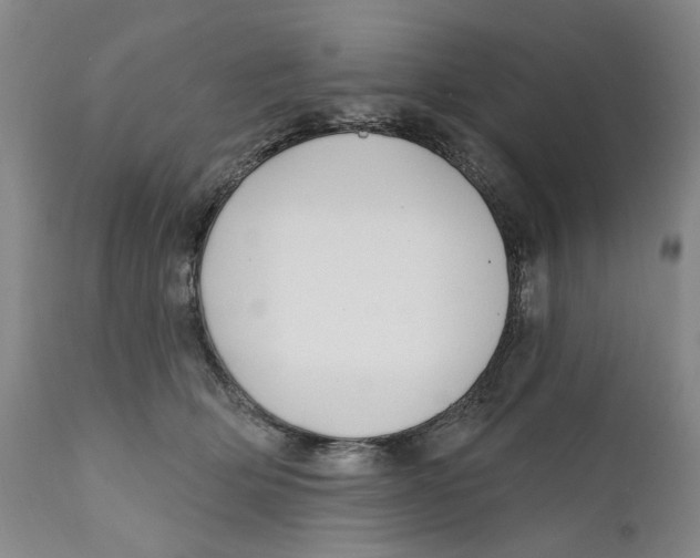 X0000112360514200909101300