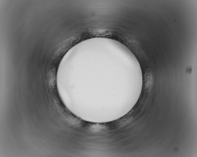 X0000112360515200909101300