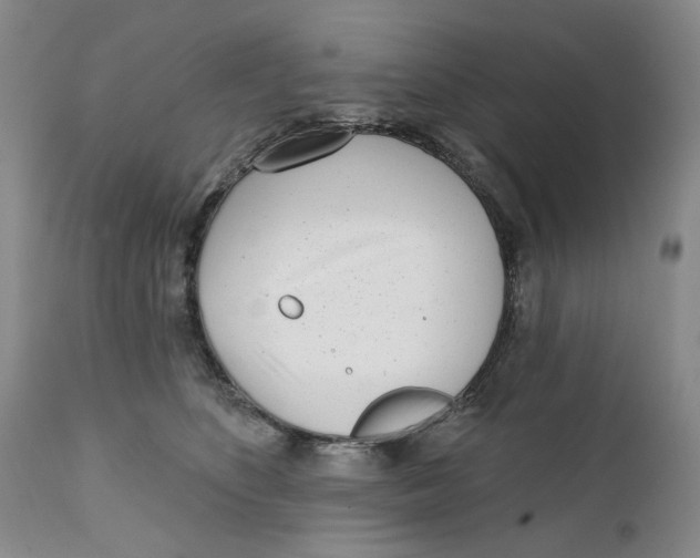 X0000112360516200909101300