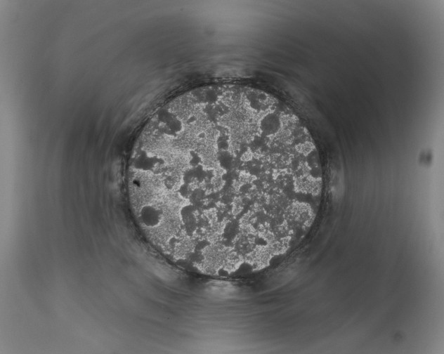 X0000112360519200909101300