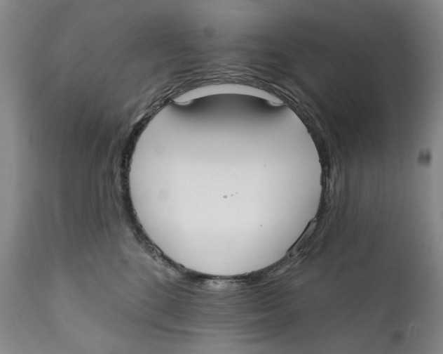 X0000112360520200909101300