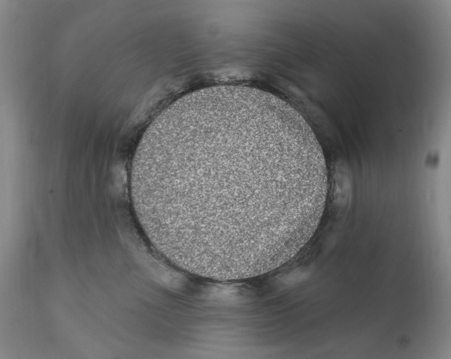 X0000112360523200909101300