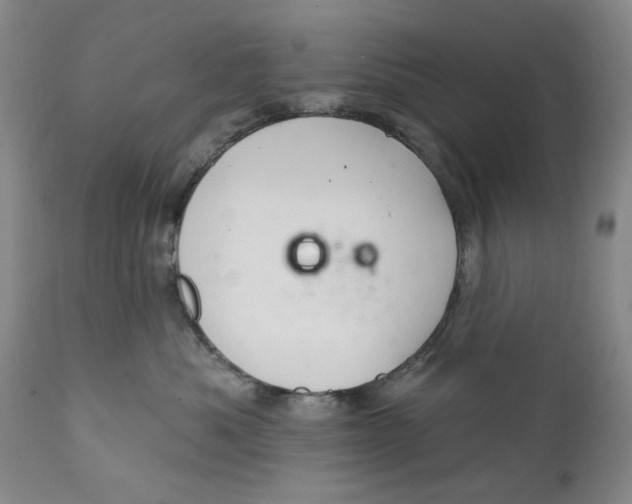 X0000112360525200909101300