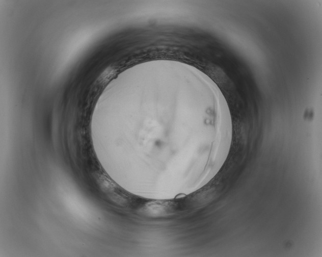 X0000112360526200909101300