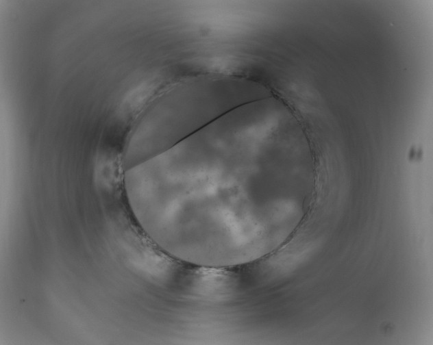 X0000112360528200909101300