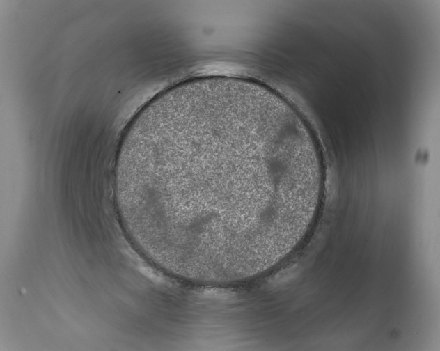 X0000112360529200909101259
