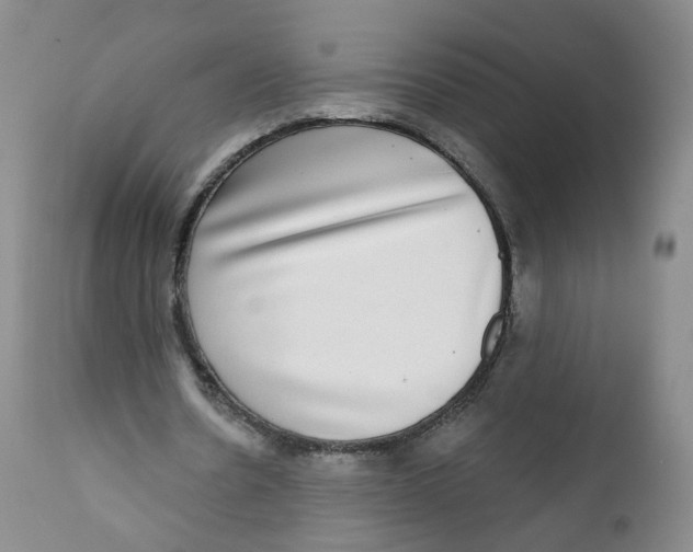 X0000112360530200909101259