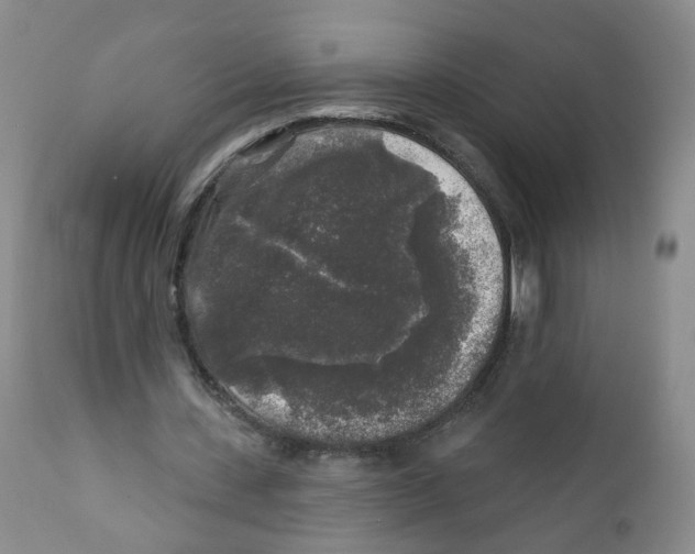 X0000112360531200909101259
