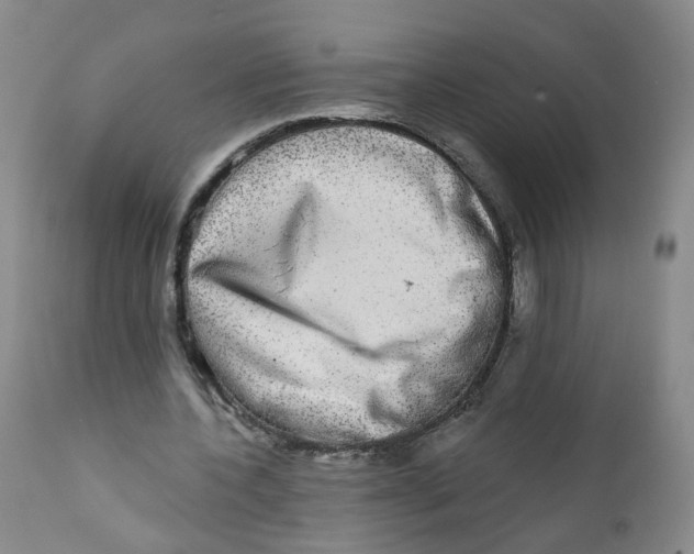 X0000112360532200909101259