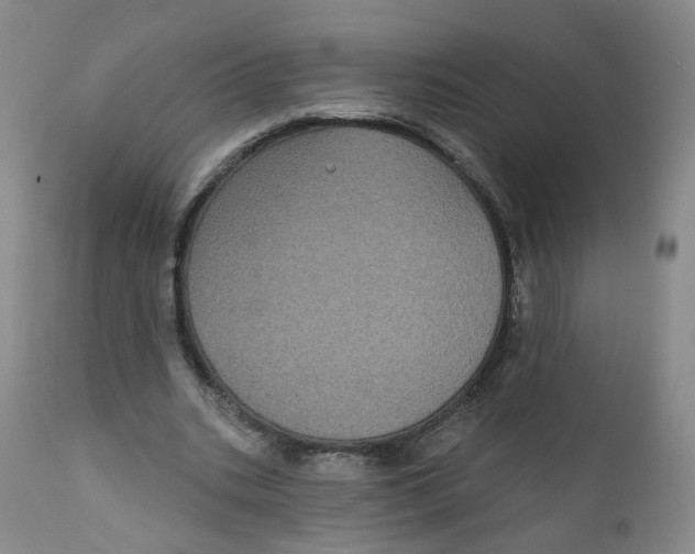 X0000112360535200909101259