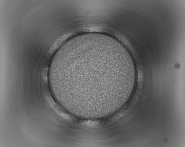 X0000112360537200909101259