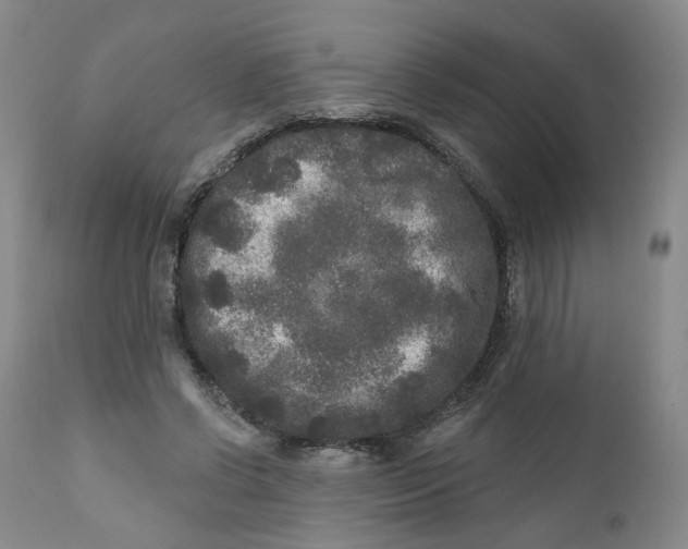 X0000112360542200909101259