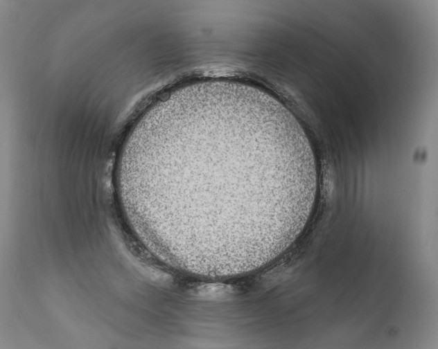 X0000112360543200909101259