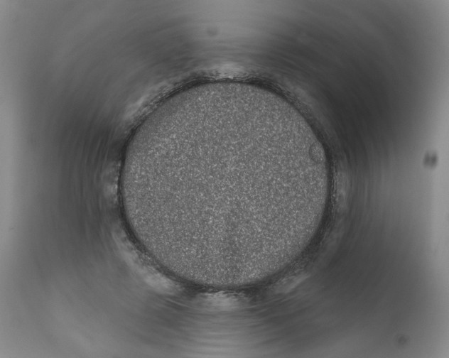 X0000112360545200909101300