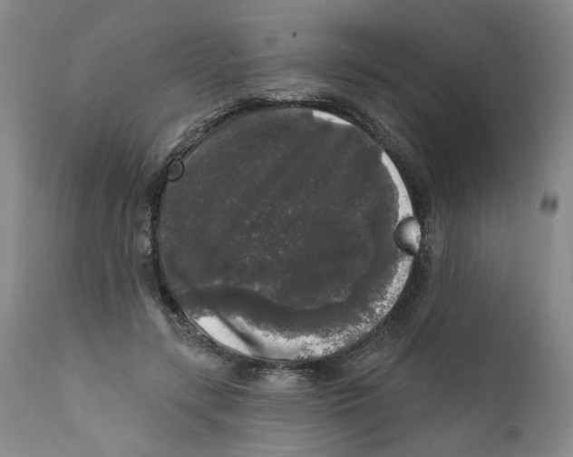 X0000112360547200909101300