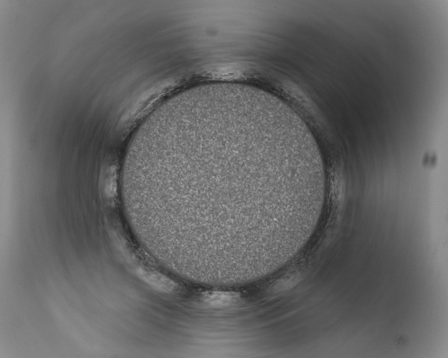 X0000112360549200909101300