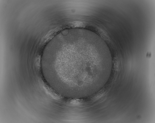 X0000112360550200909101300