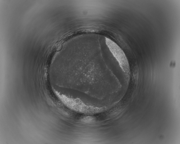 X0000112360551200909101300