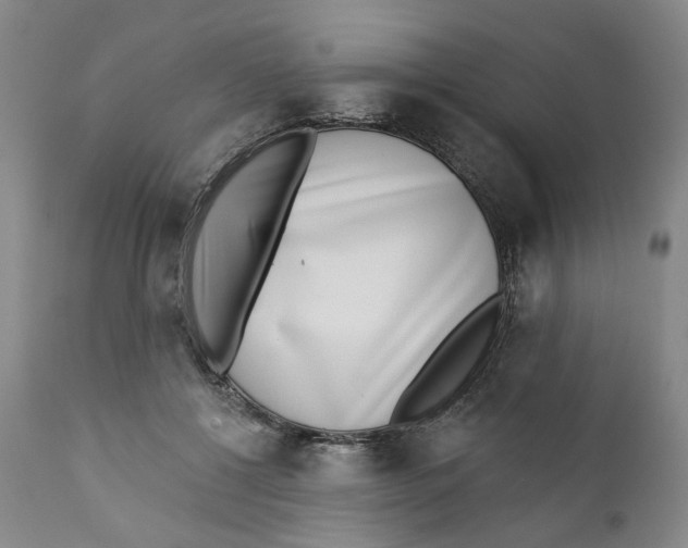 X0000112360552200909101300