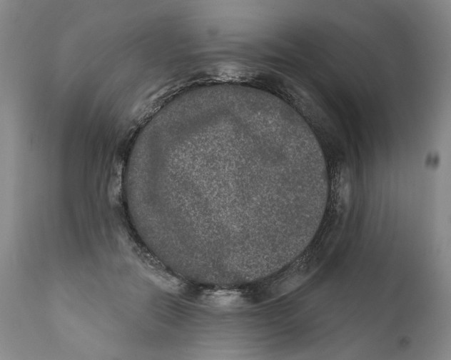 X0000112360554200909101300