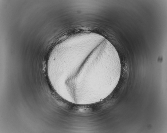 X0000112360555200909101300