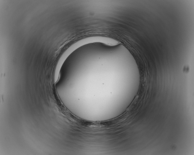 X0000112360556200909101300