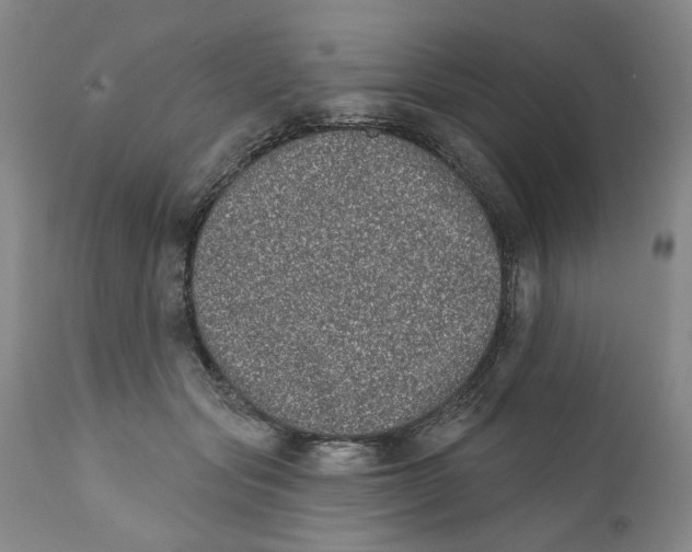 X0000112360557200909101300