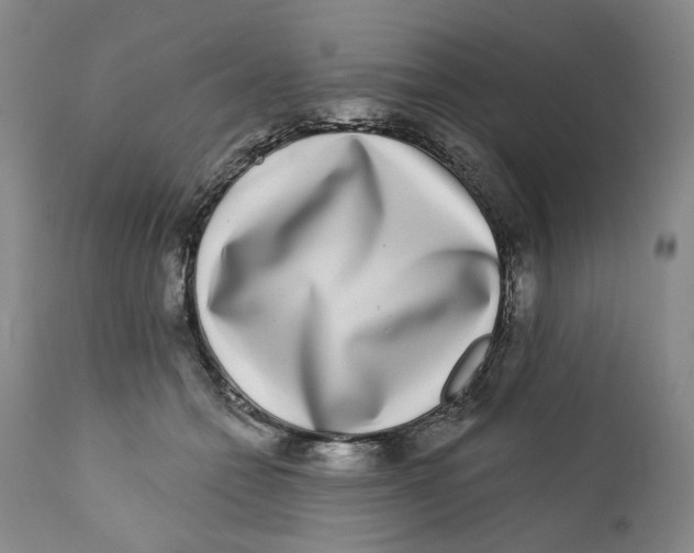 X0000112360558200909101300