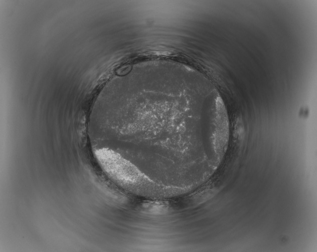 X0000112360559200909101300