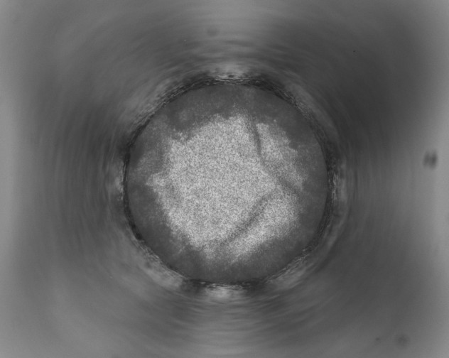 X0000112360561200909101300
