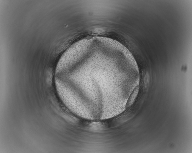 X0000112360562200909101300
