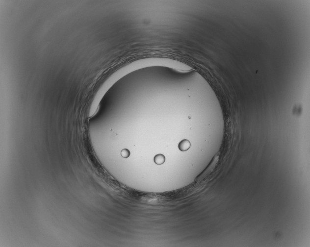 X0000112360564200909101300