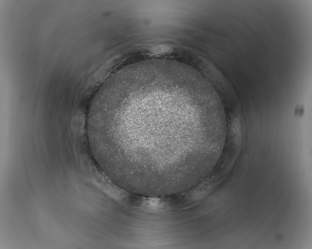 X0000112360565200909101300