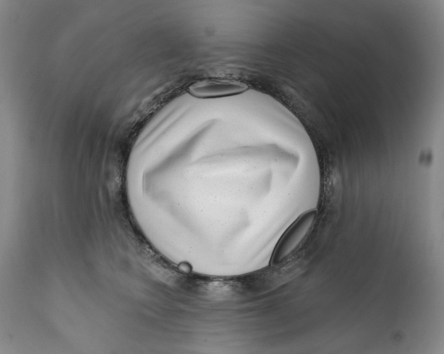 X0000112360566200909101300