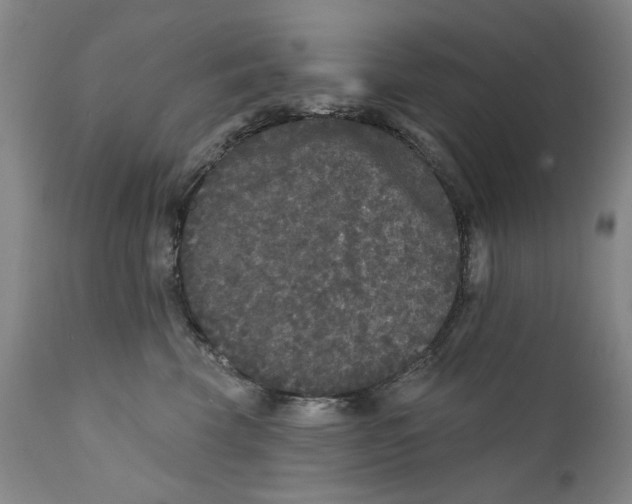 X0000112360569200909101300