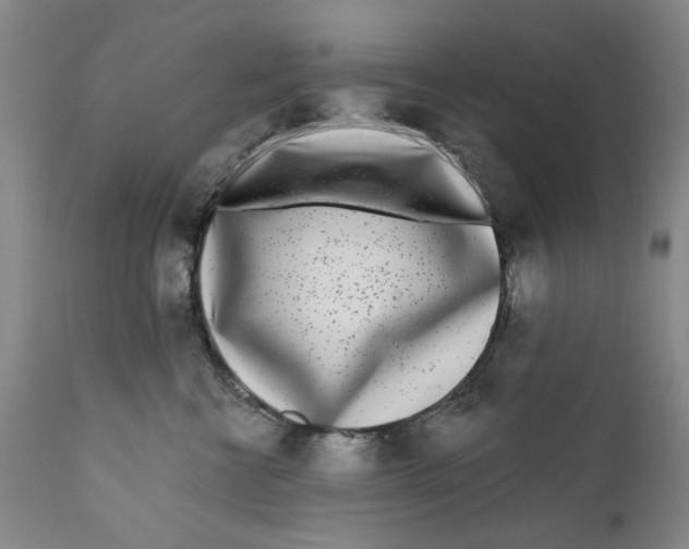 X0000112360570200909101300