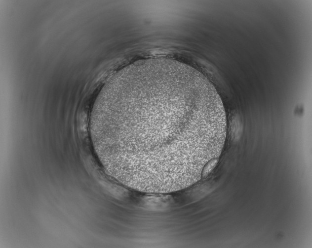 X0000112360571200909101300