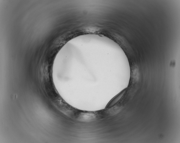 X0000112360572200909101300